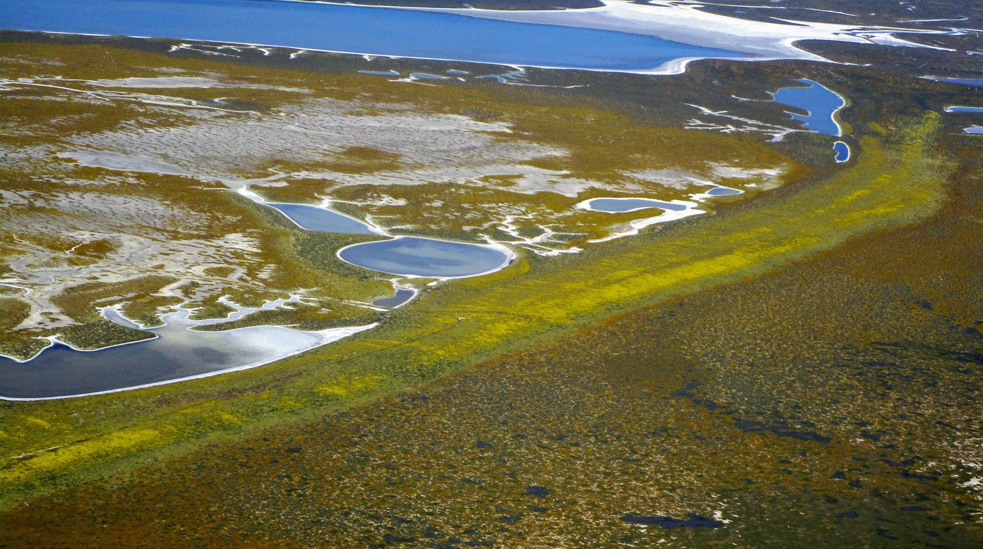 041319 Superbloom Soda Lake 08.jpg